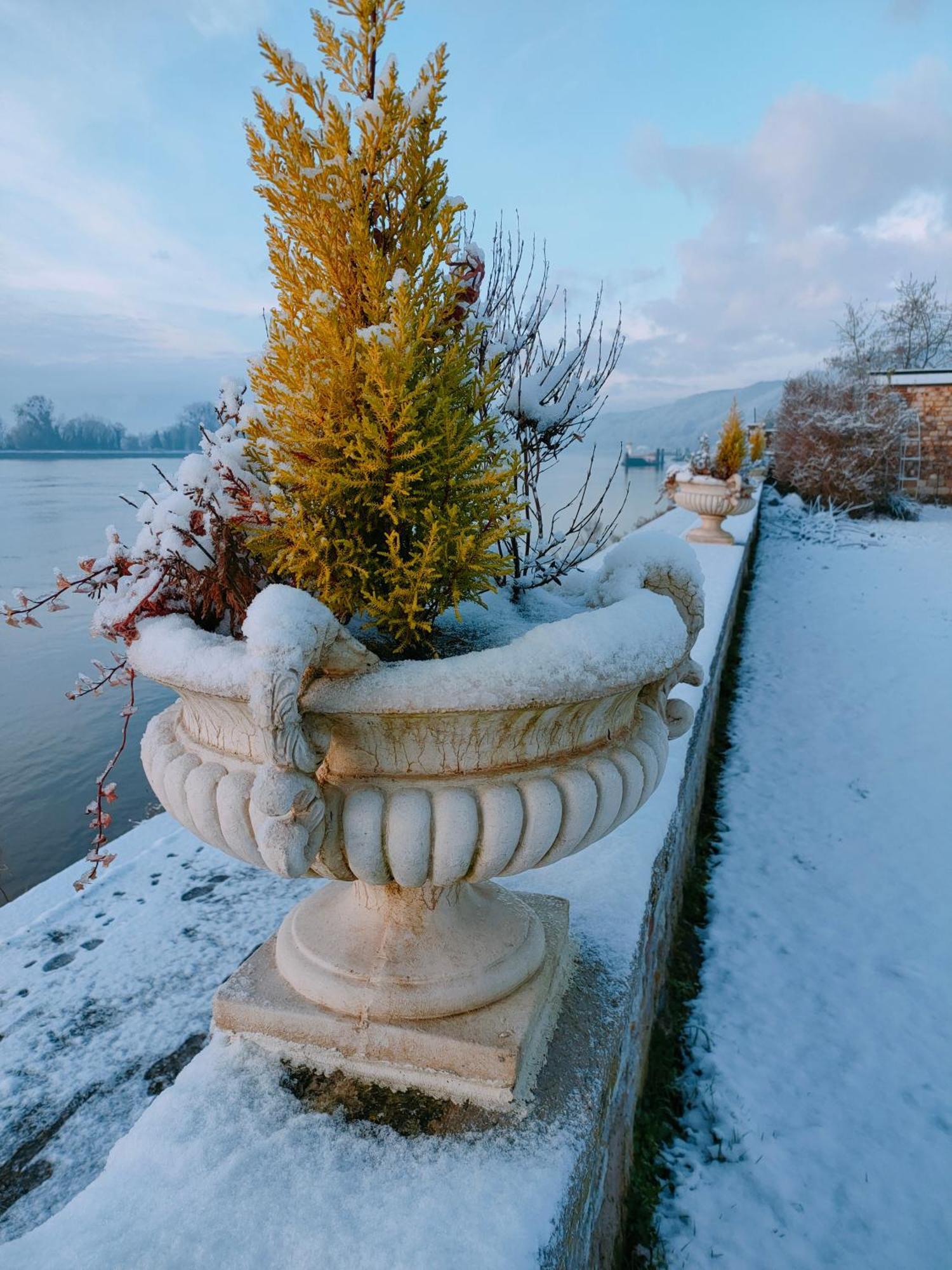 Demeure En Seine - Gites Et Chambres D'Hote En Bord De Seine โกเดอเบค-ออง-โกซ์ ห้อง รูปภาพ